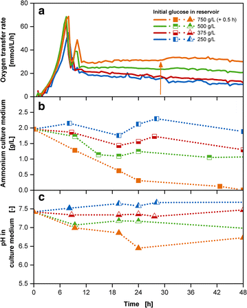 Fig. 5