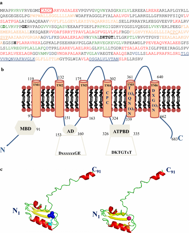 Fig. 1