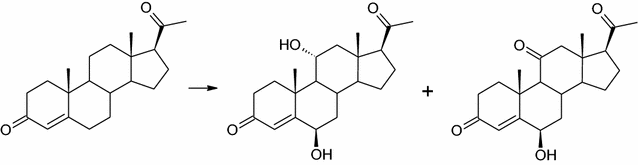 Fig. 5