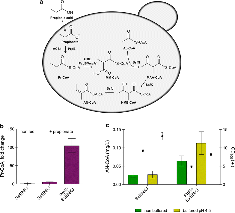 Fig. 2