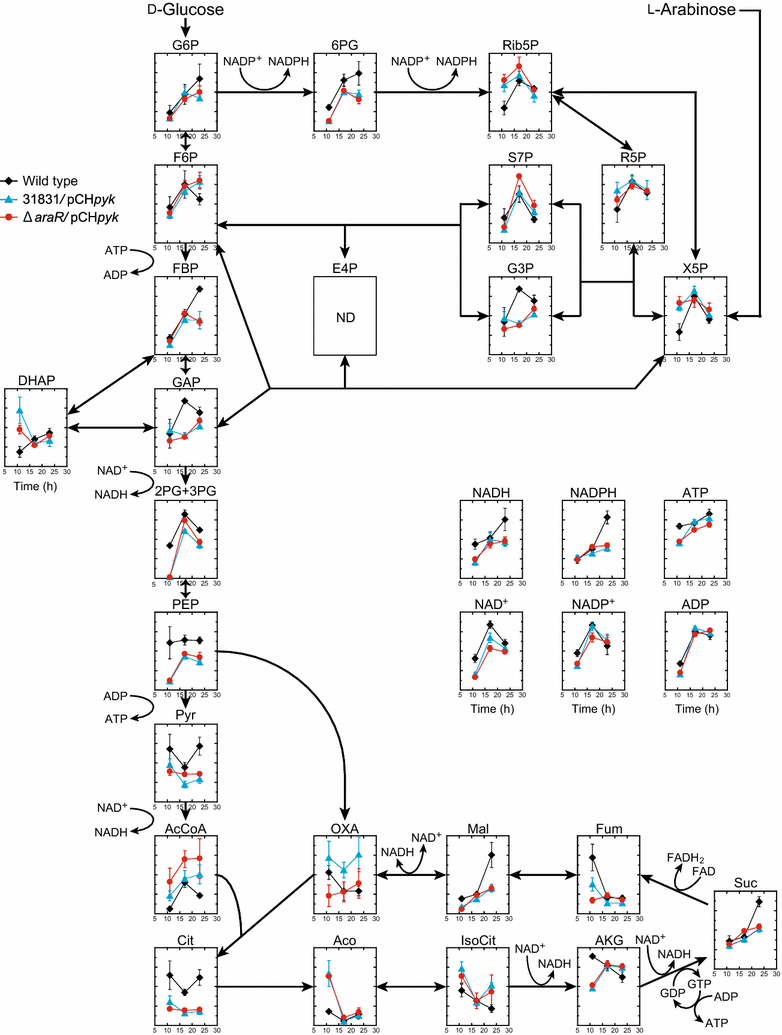 Fig. 6