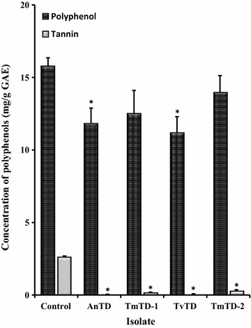 Fig. 5