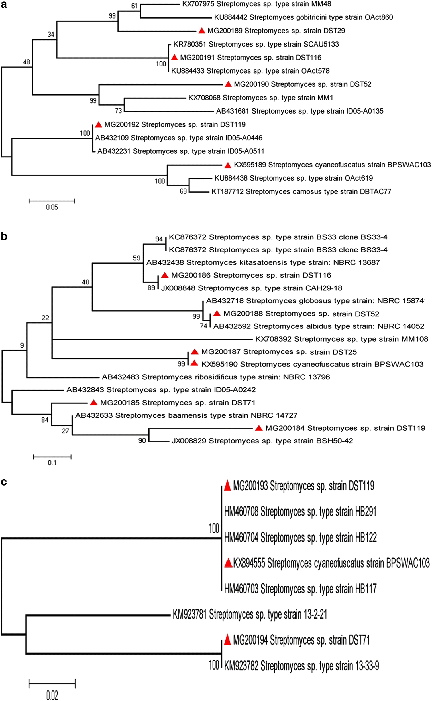 Fig. 5