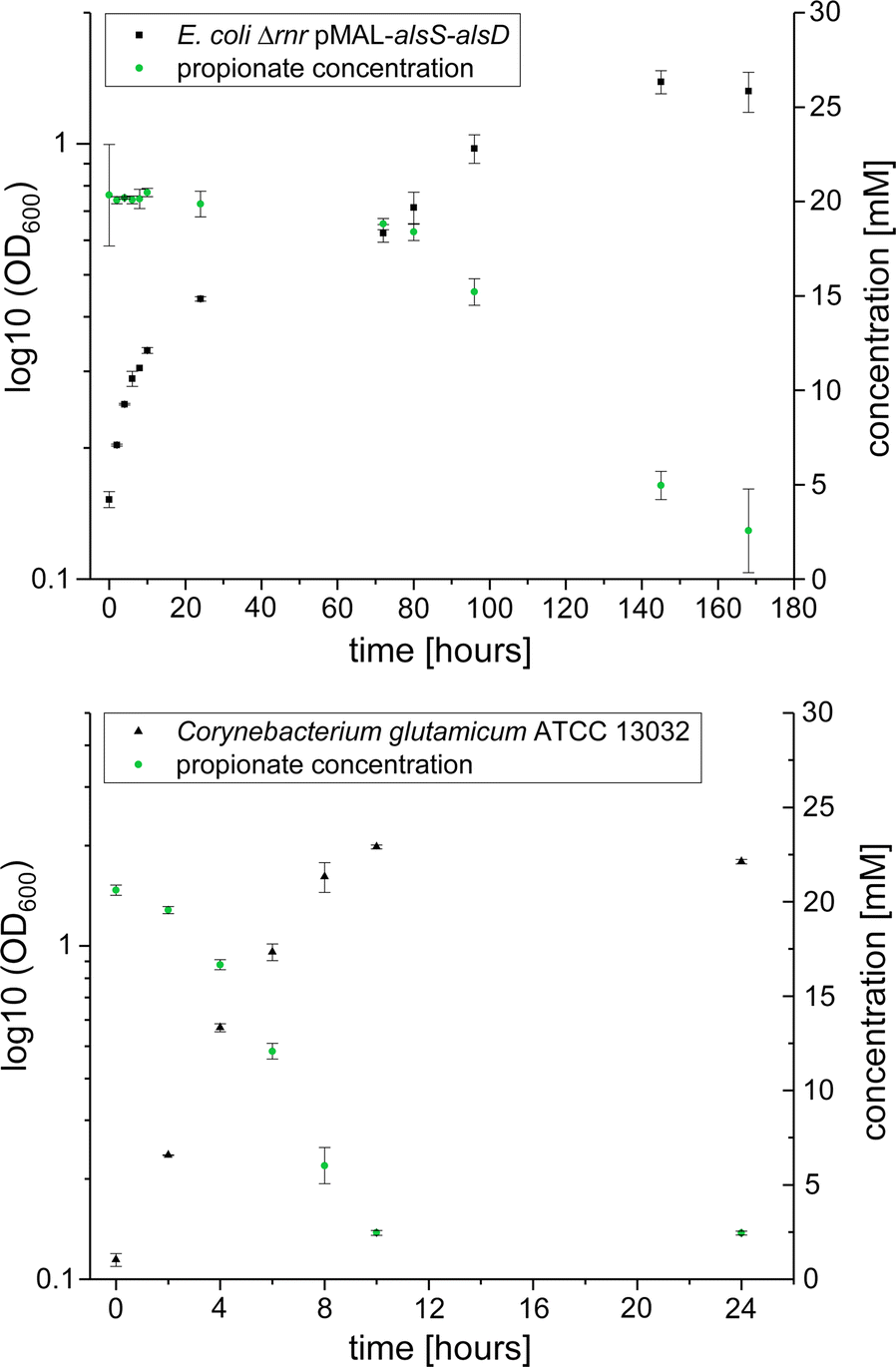 Fig. 6