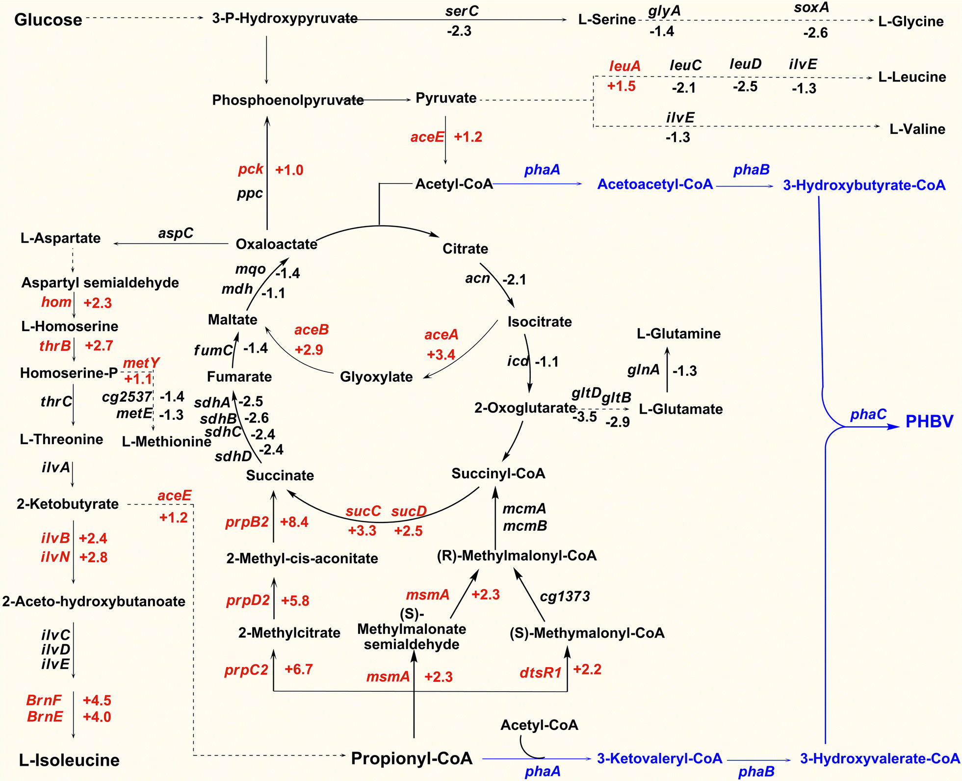 Fig. 1