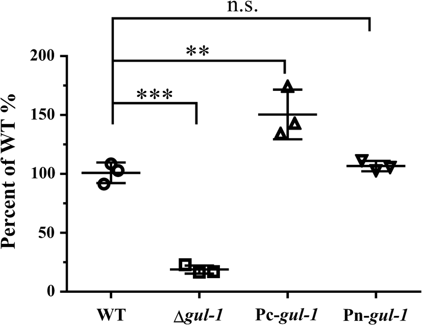 Fig. 3