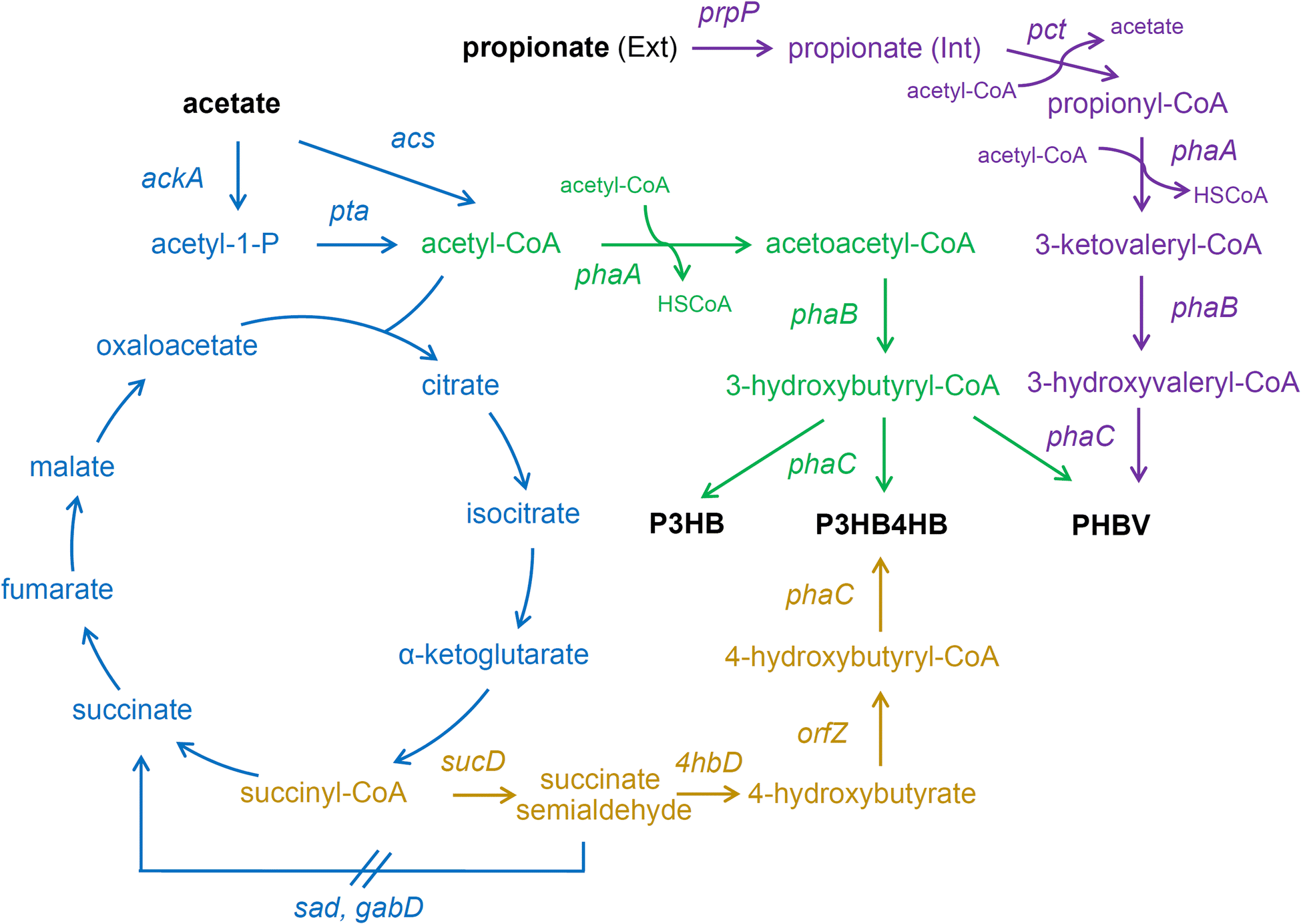 Fig. 1