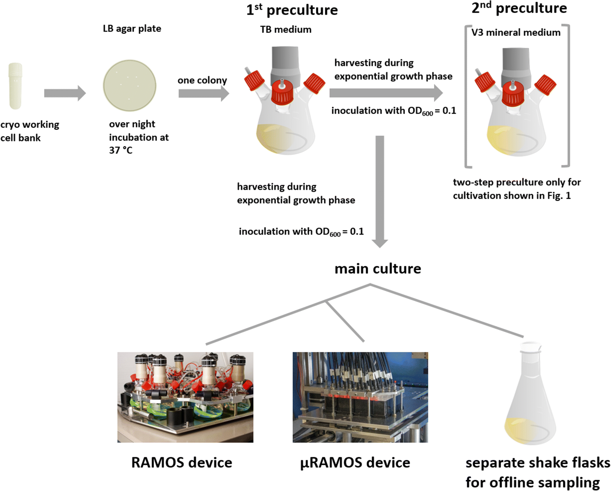 Fig. 1