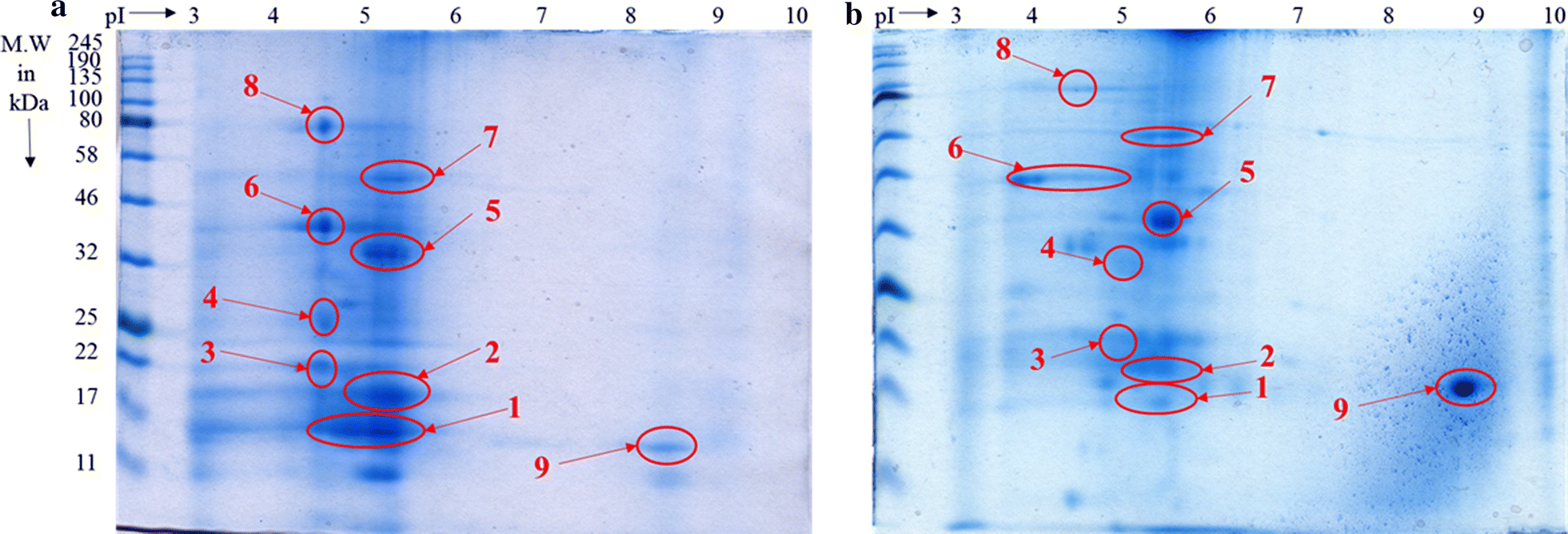 Fig. 6