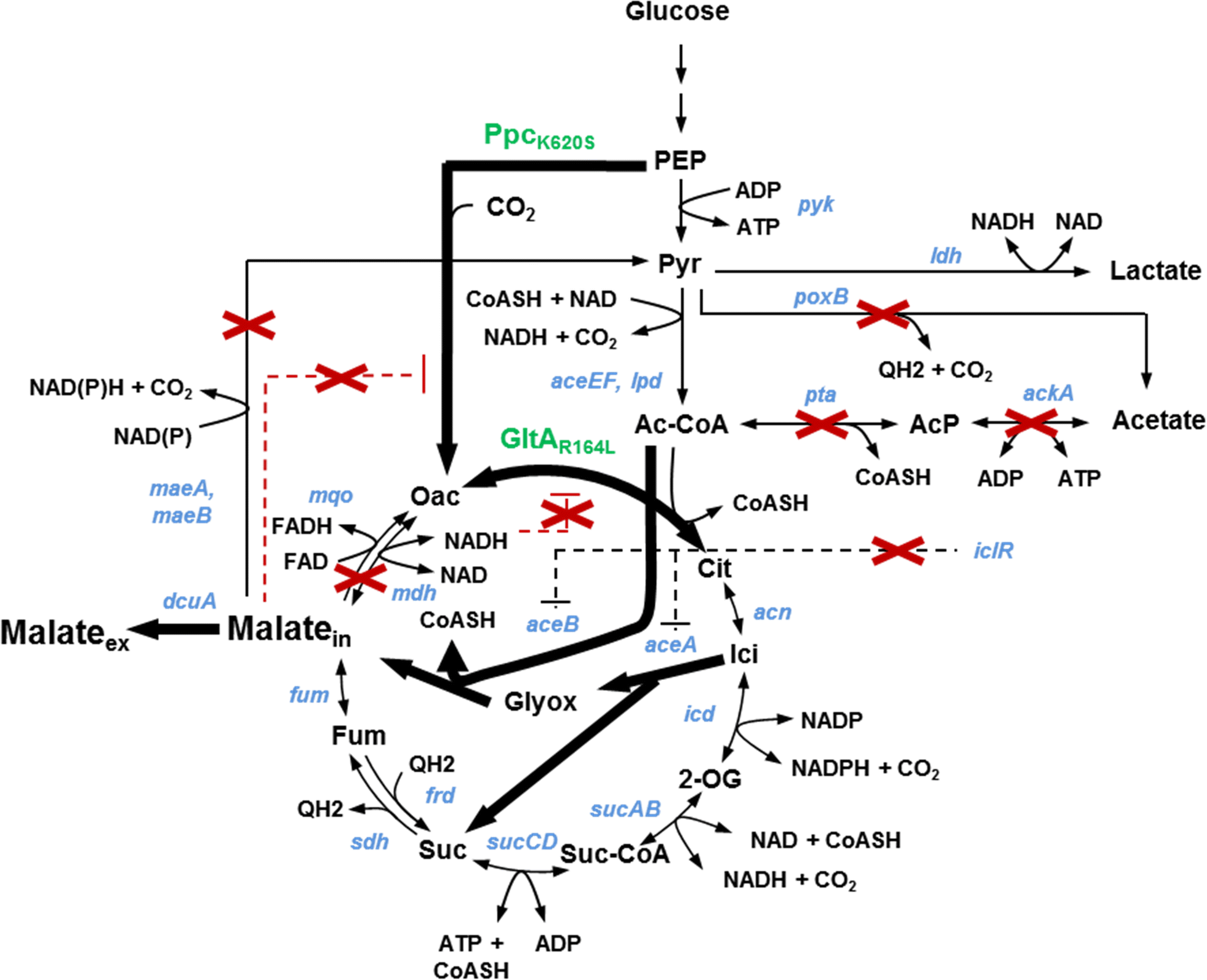 Fig. 1