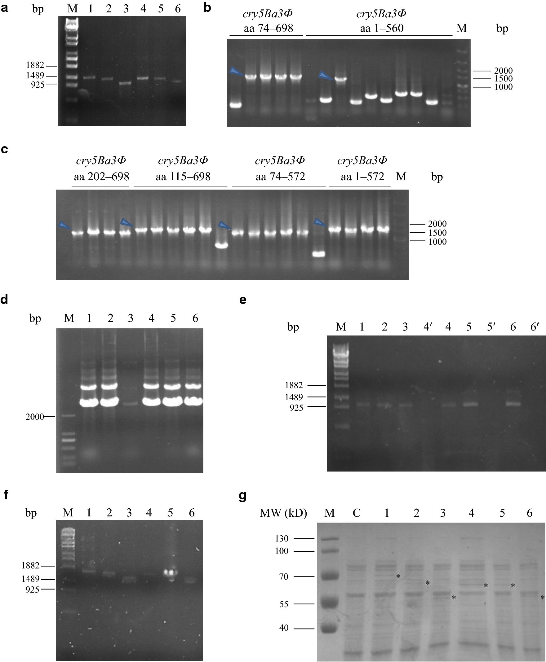 Fig. 3