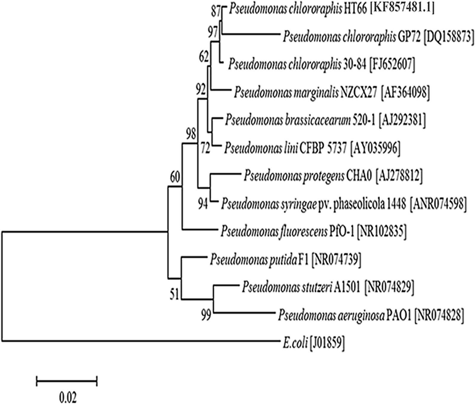 Fig. 1