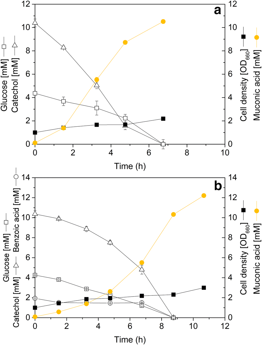 Fig. 3