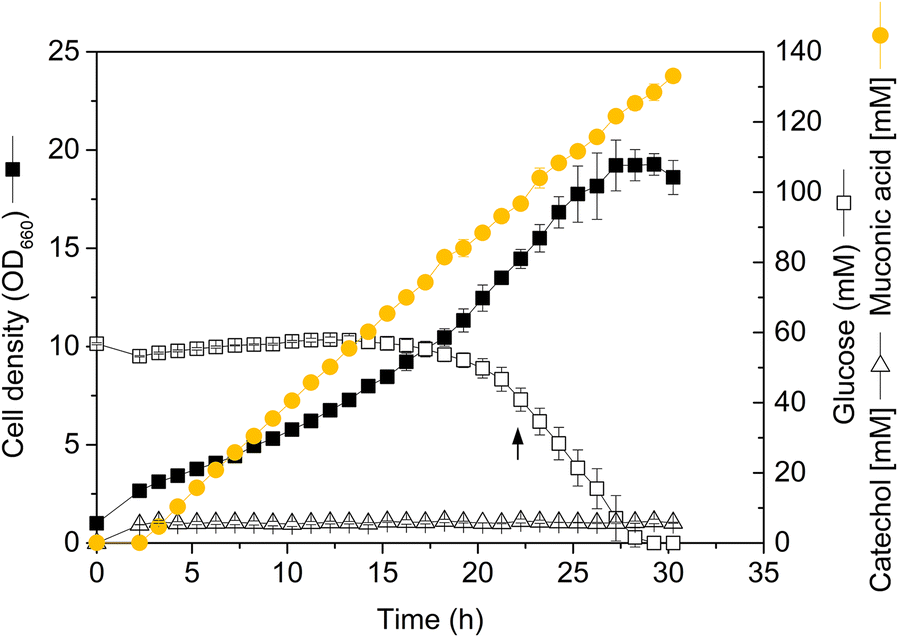 Fig. 4