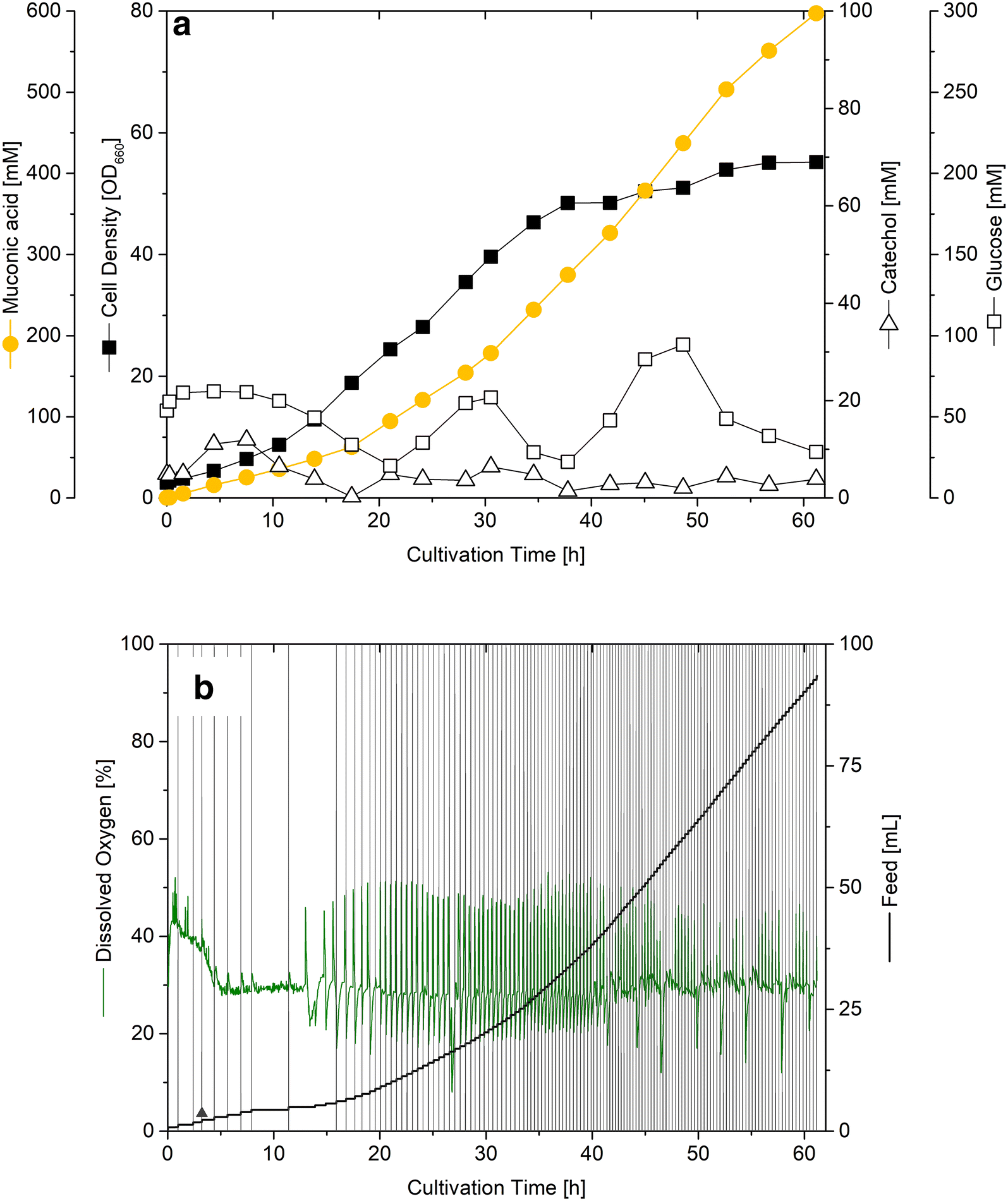 Fig. 5