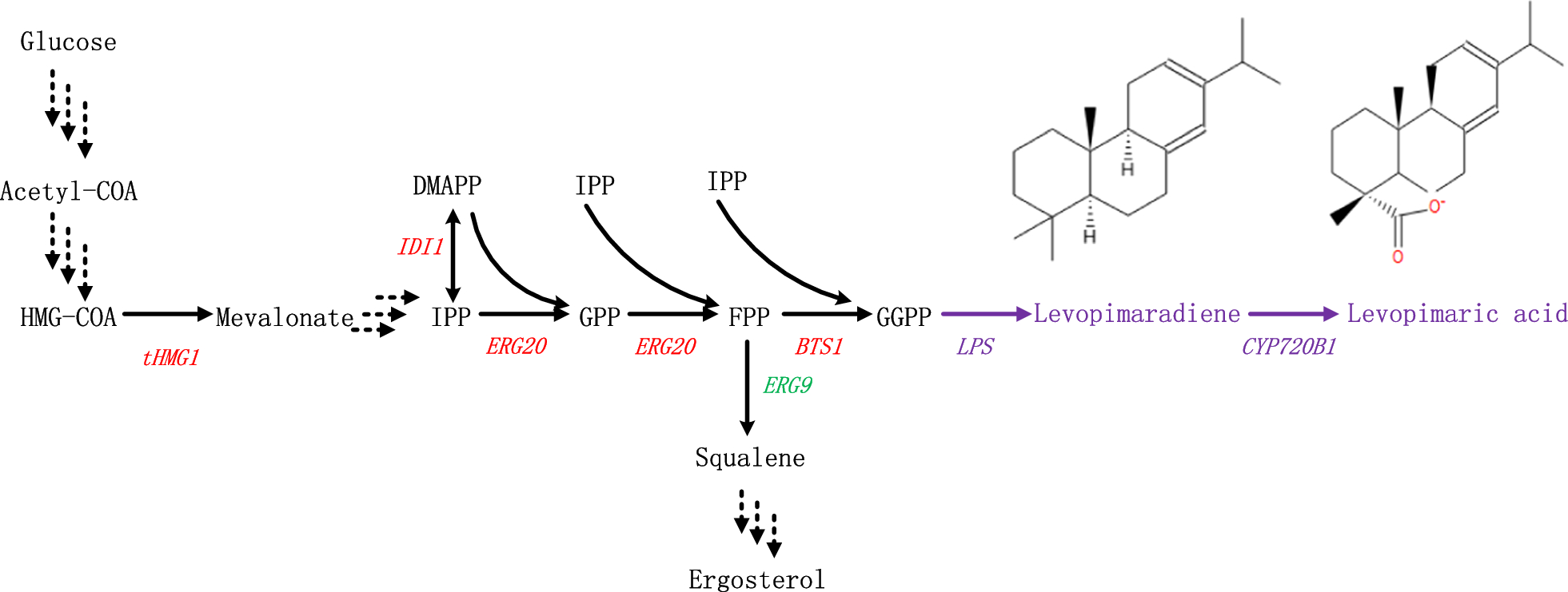 Fig. 1