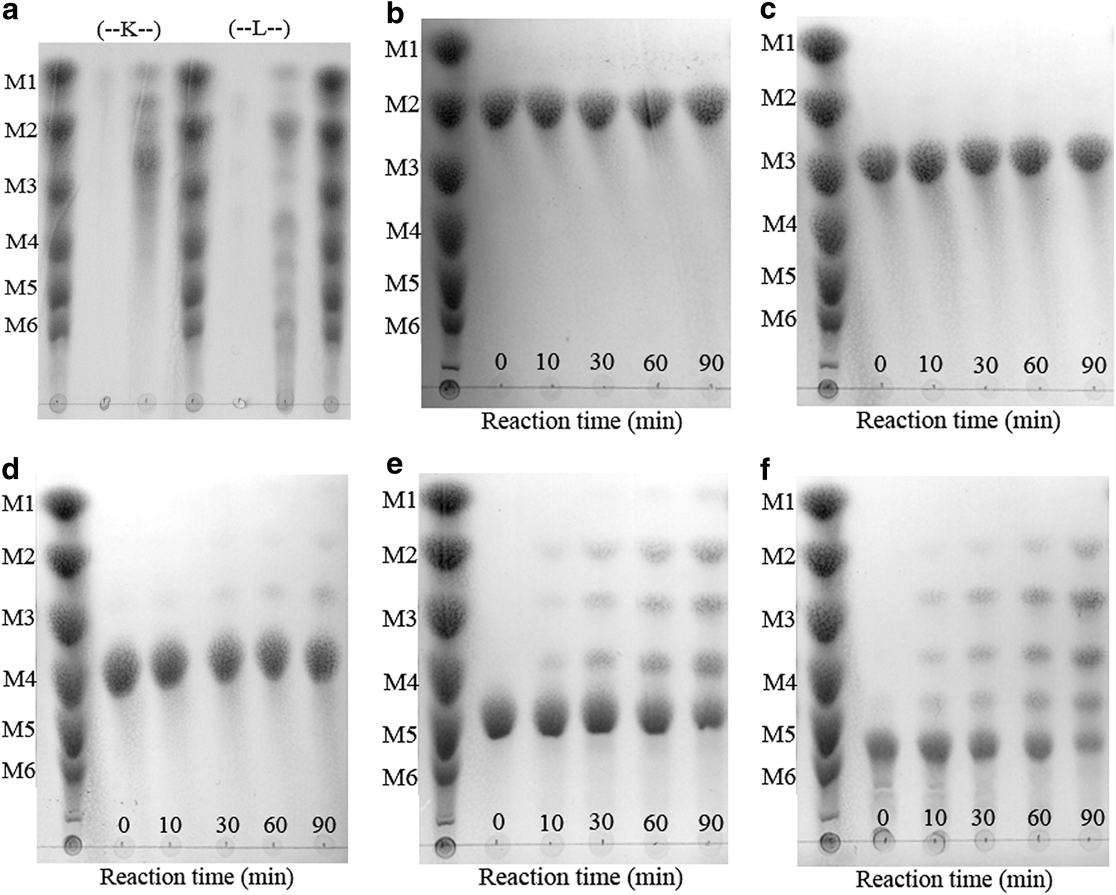 Fig. 4