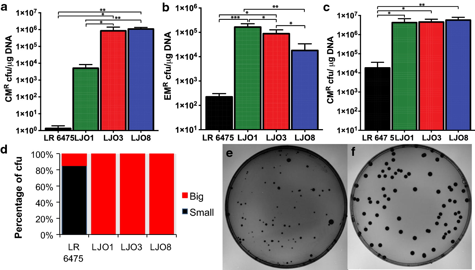 Fig. 1