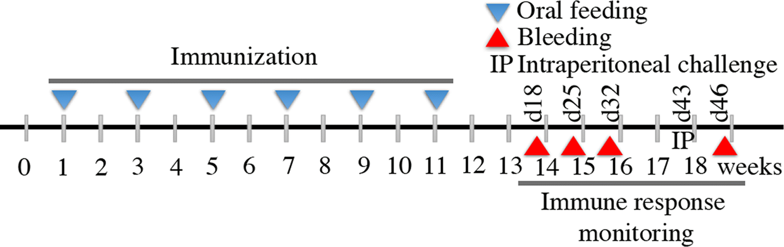 Fig. 2