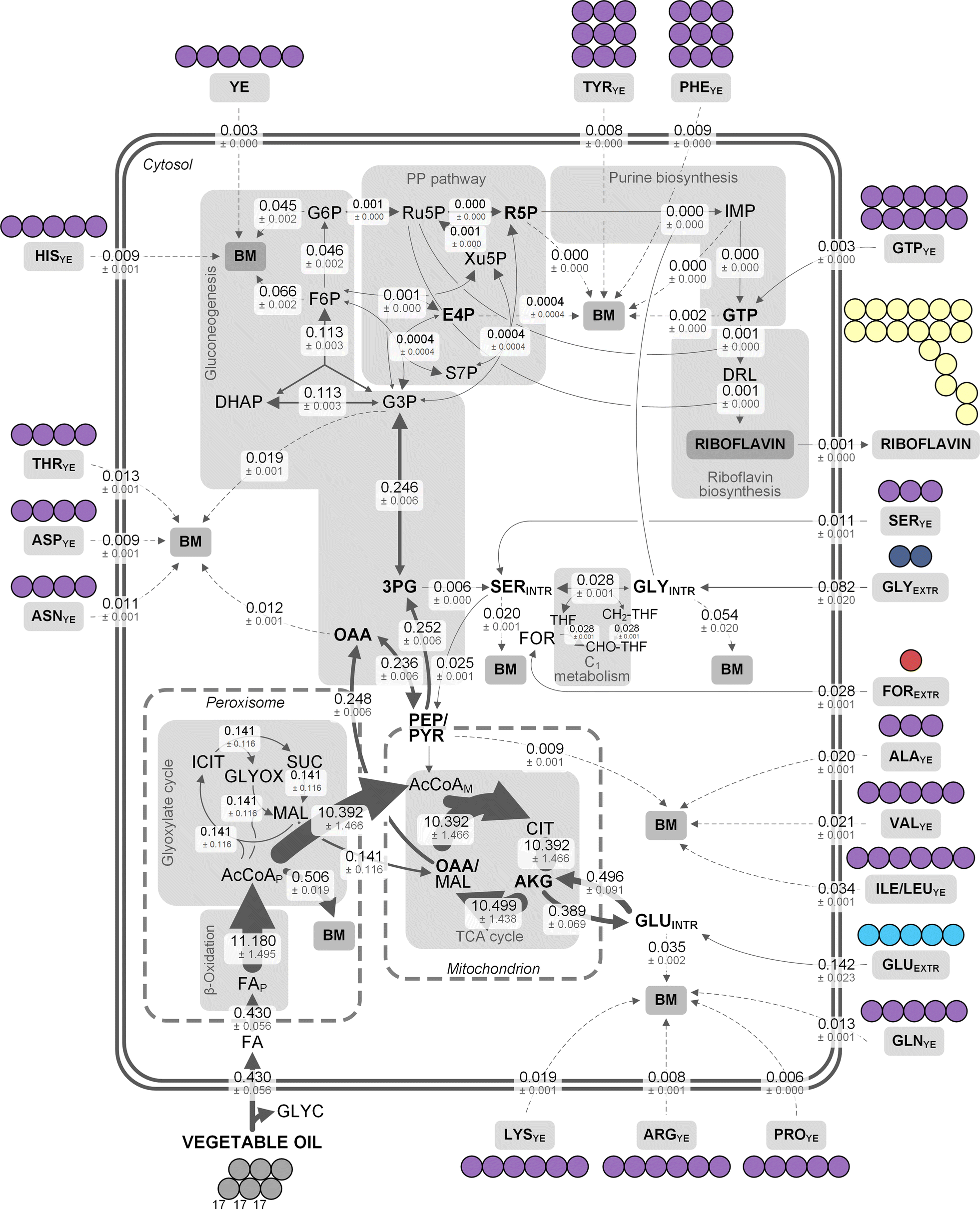 Fig. 5