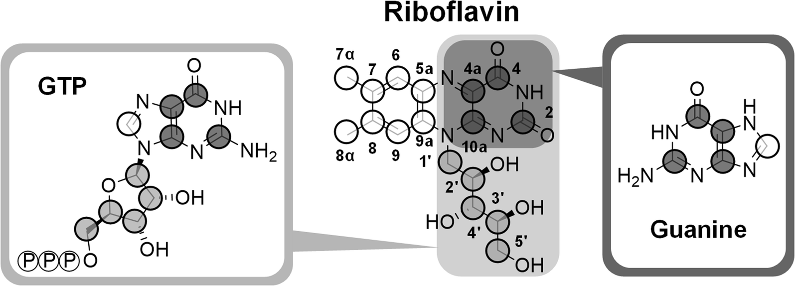 Fig. 7