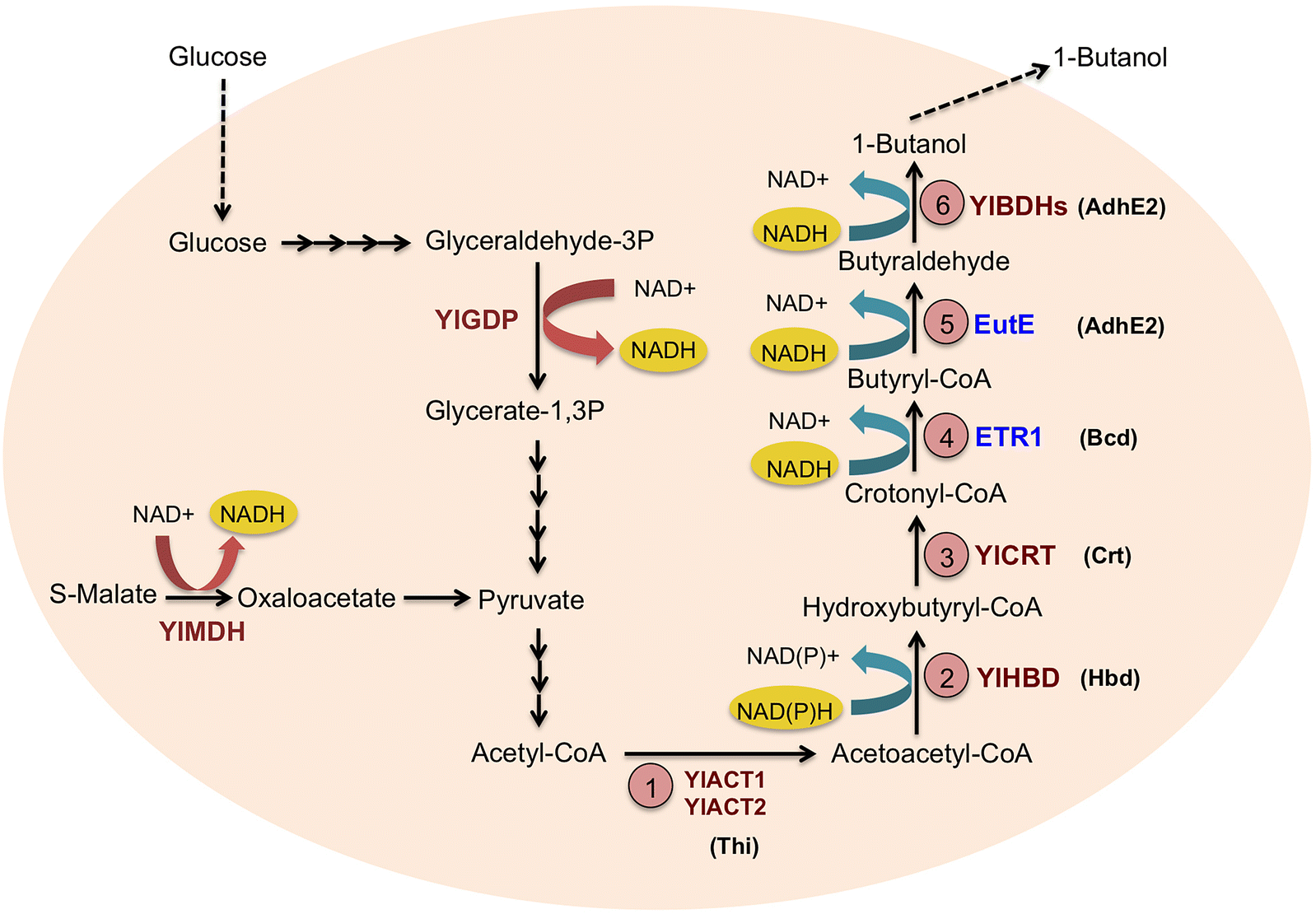 Fig. 1