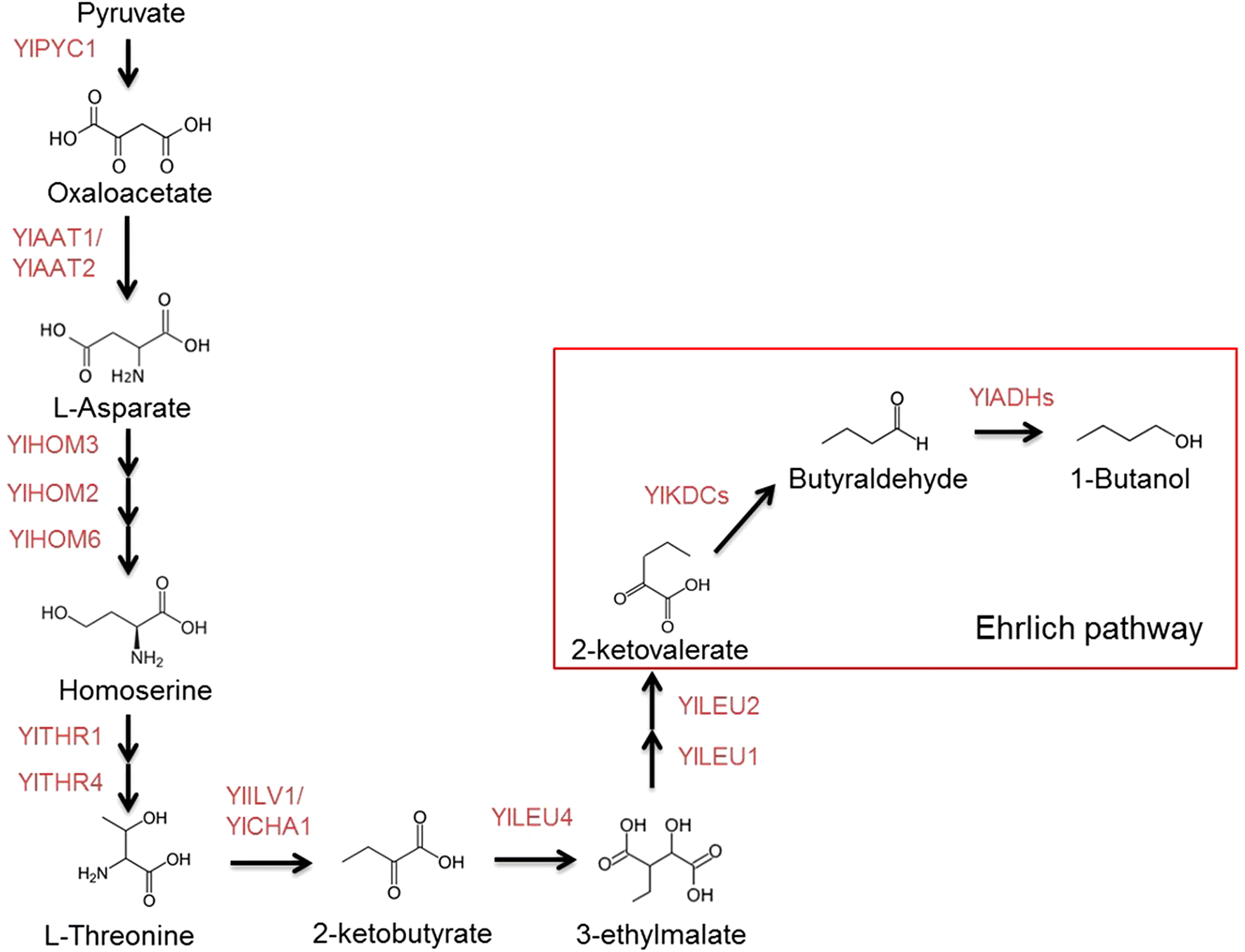 Fig. 3