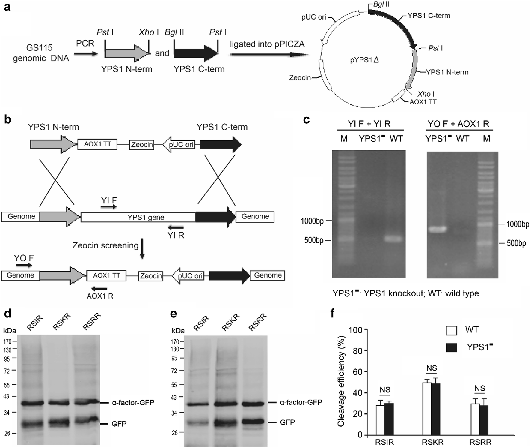 Fig. 3