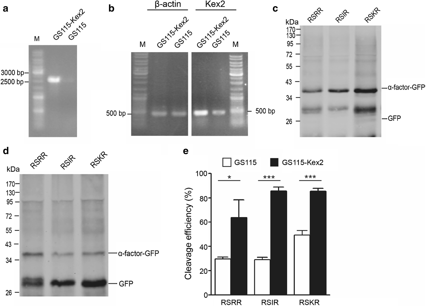 Fig. 6