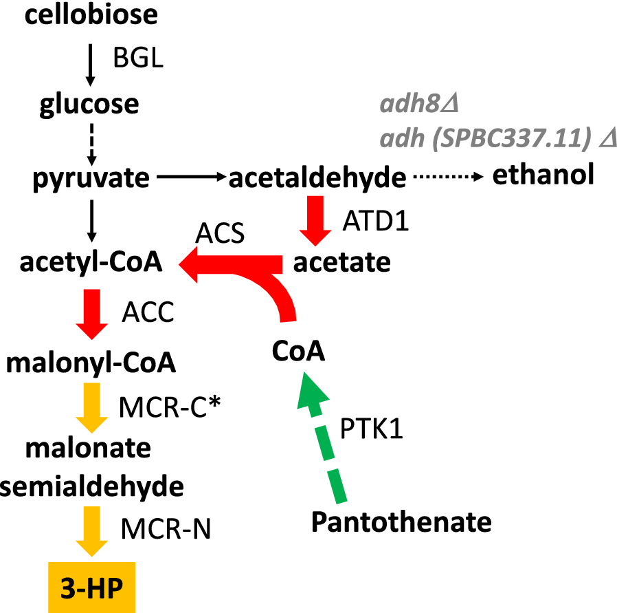 Fig. 1