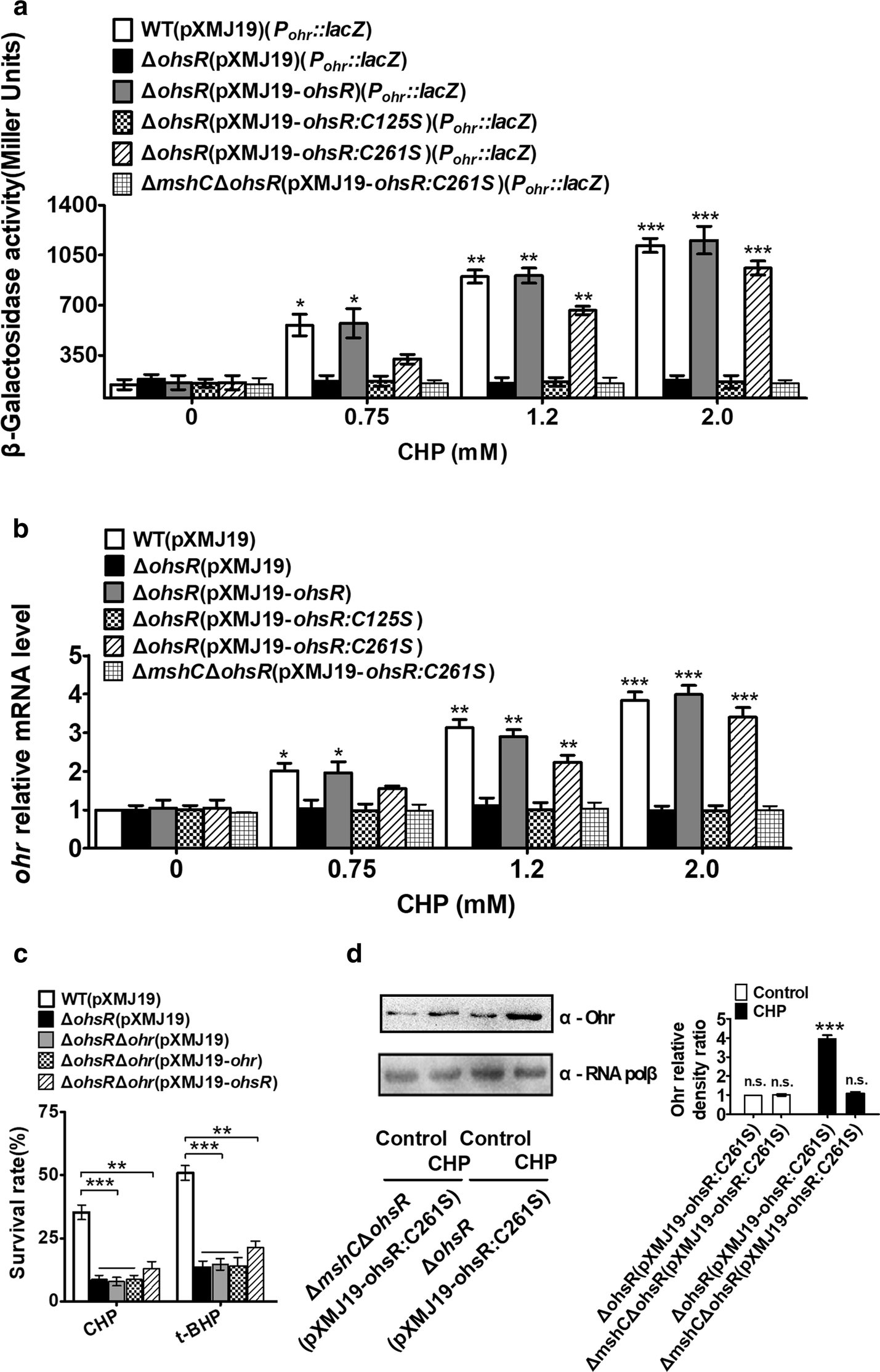 Fig. 6