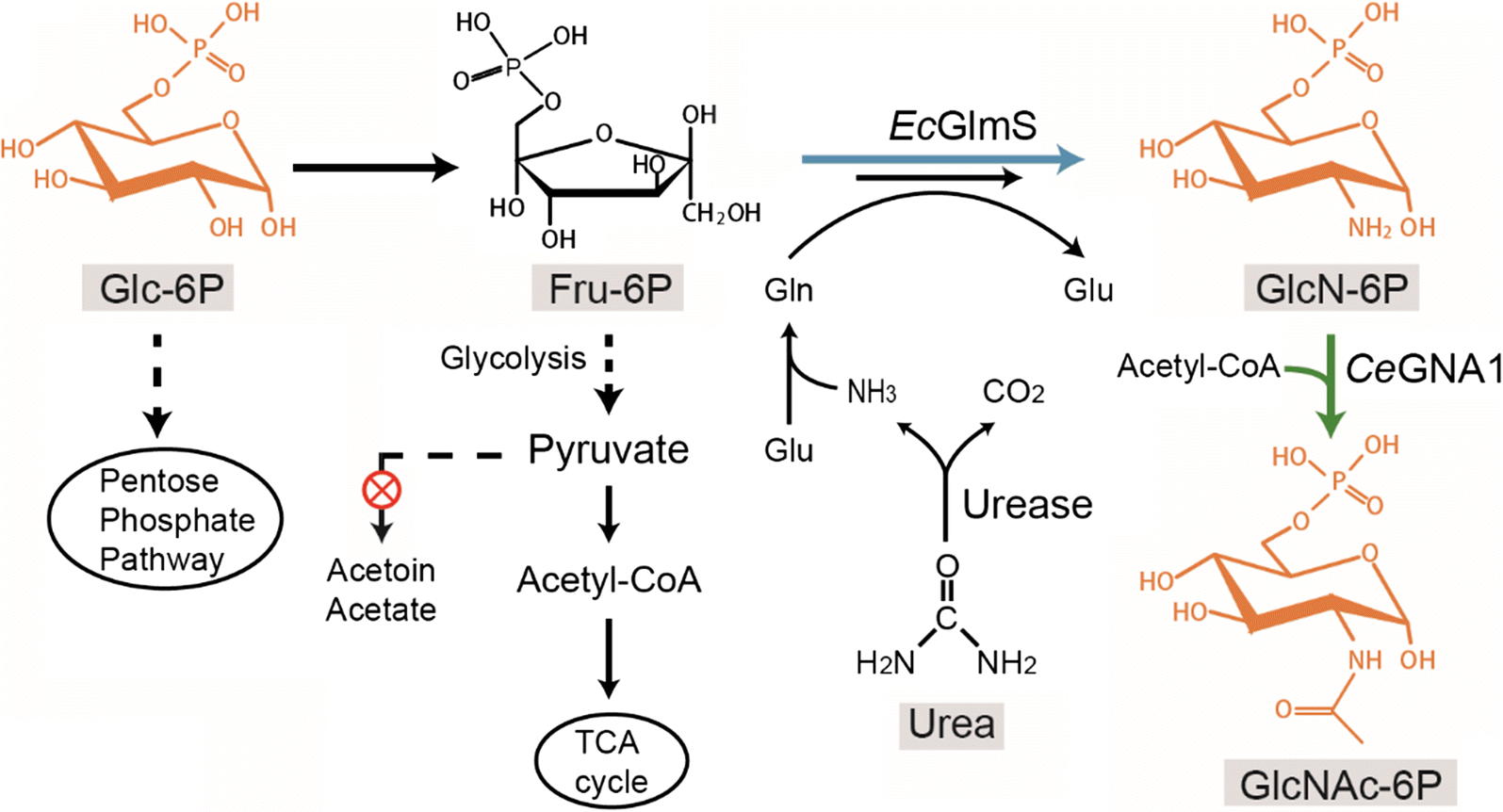 Fig. 1