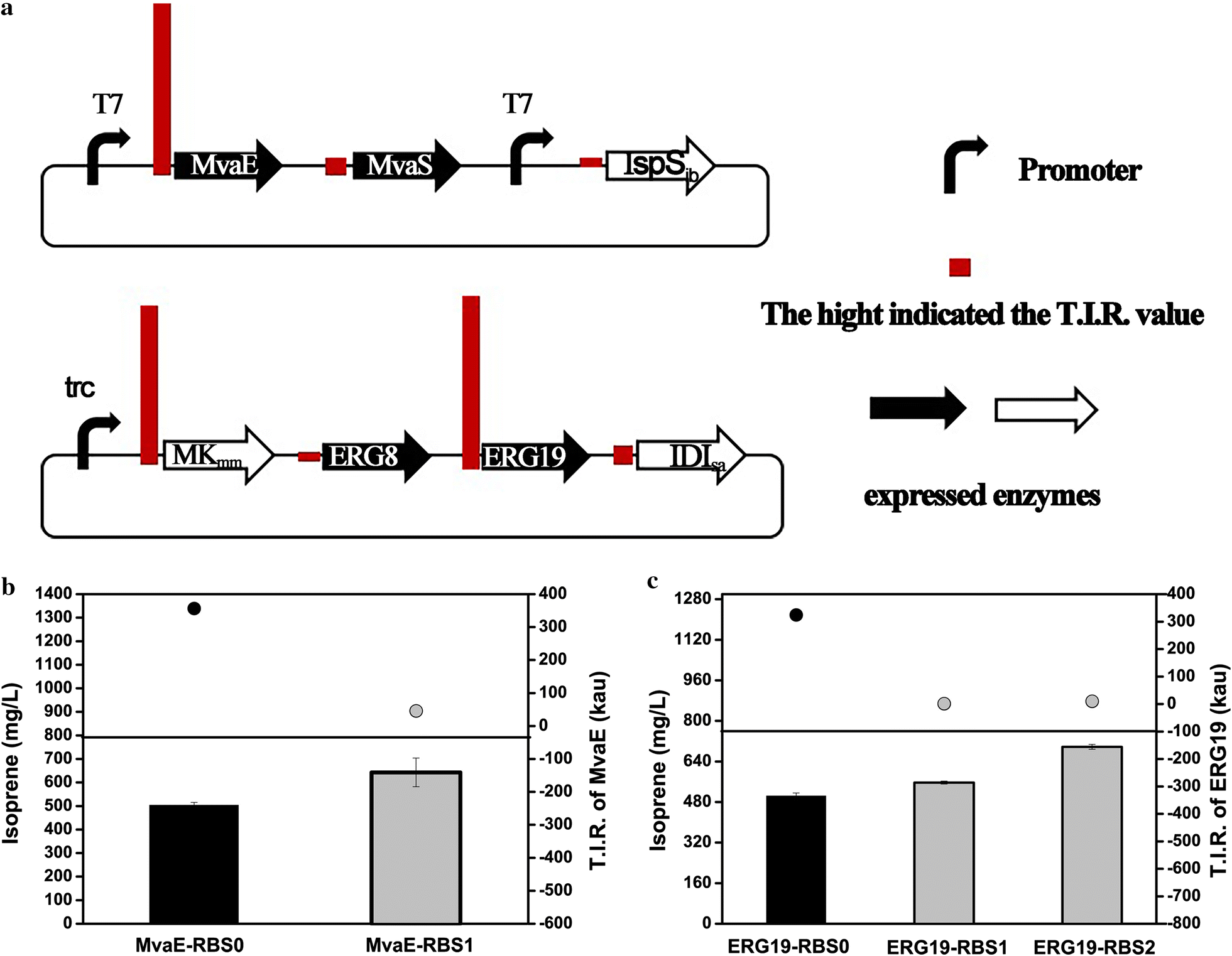 Fig. 3