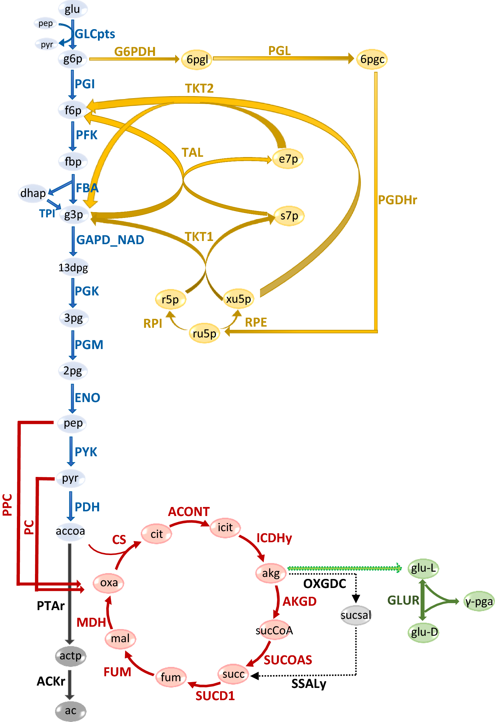 Fig. 6