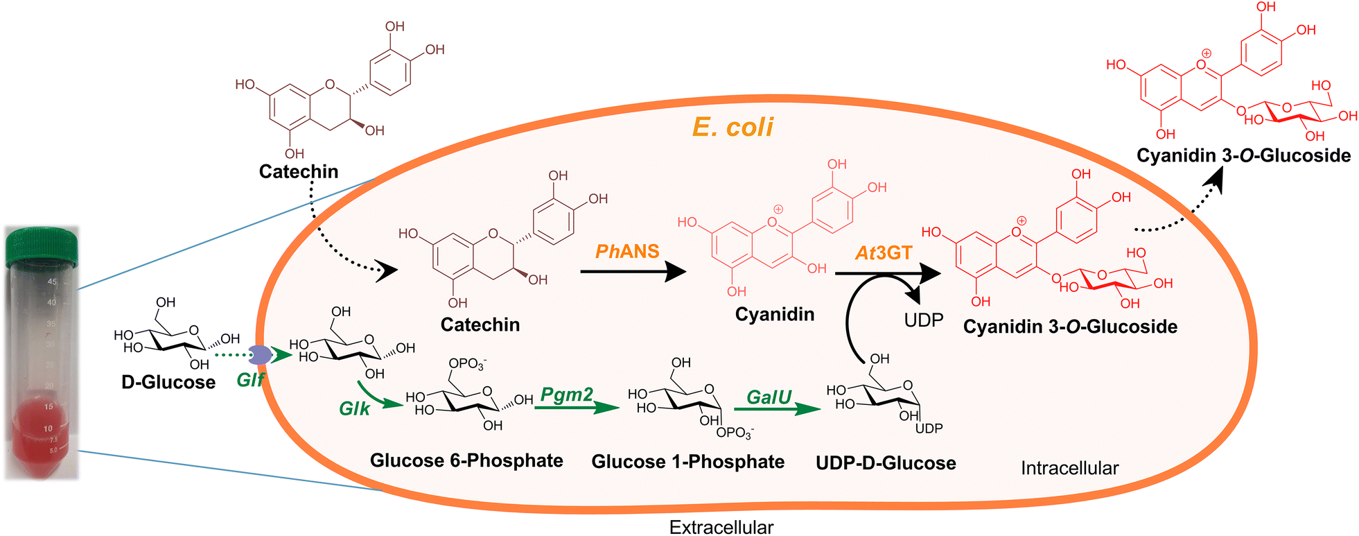 Fig. 1