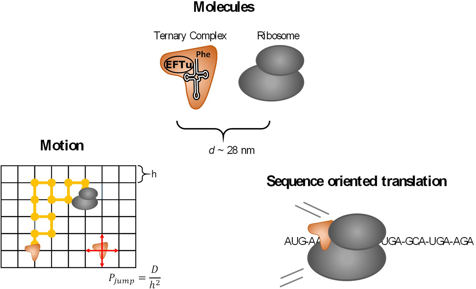 Fig. 1