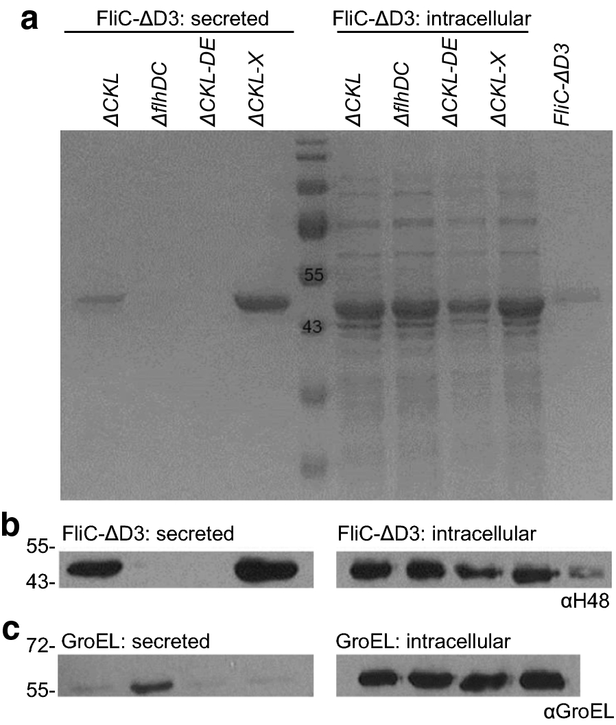 Fig. 3