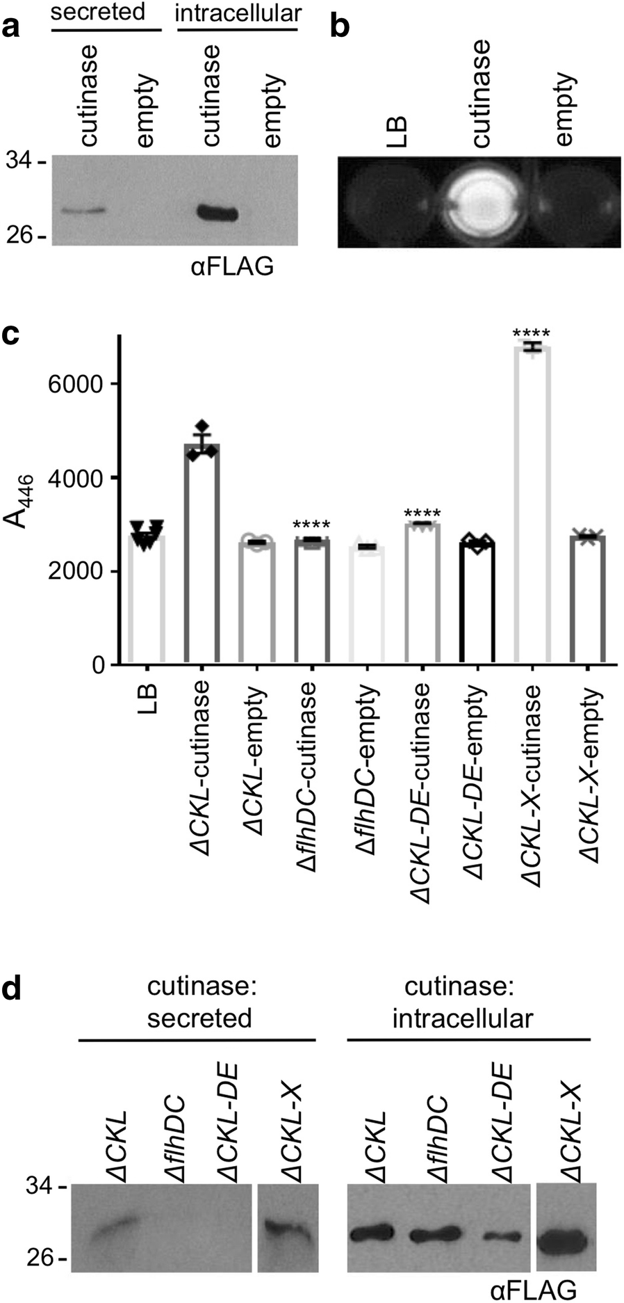 Fig. 4