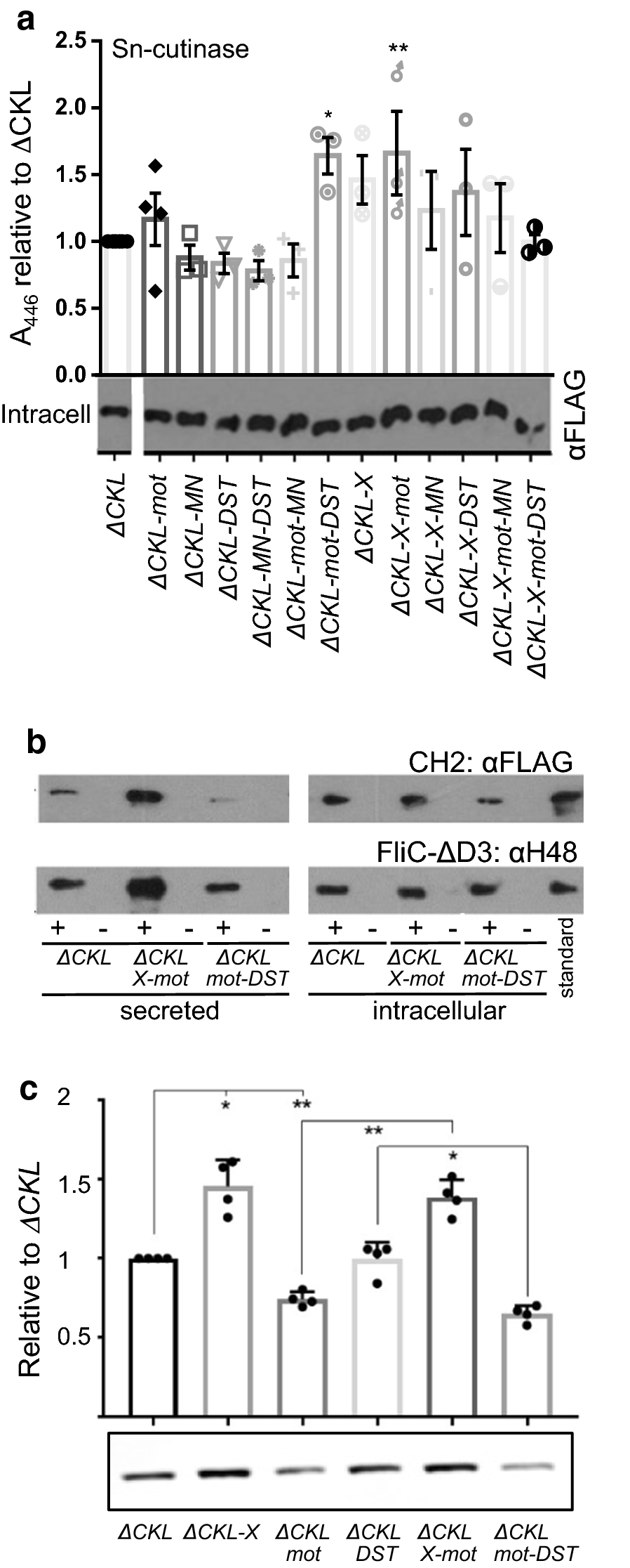 Fig. 5