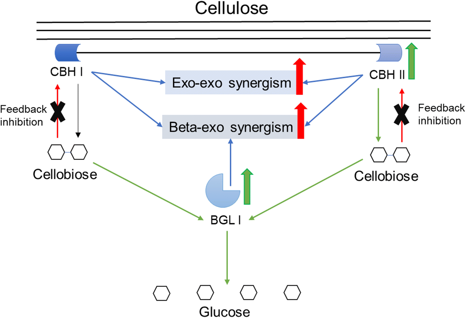 Fig. 6