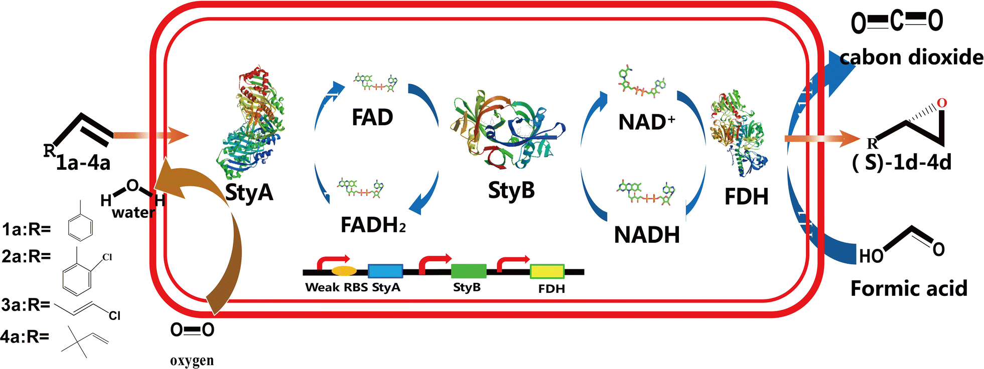 Fig. 1