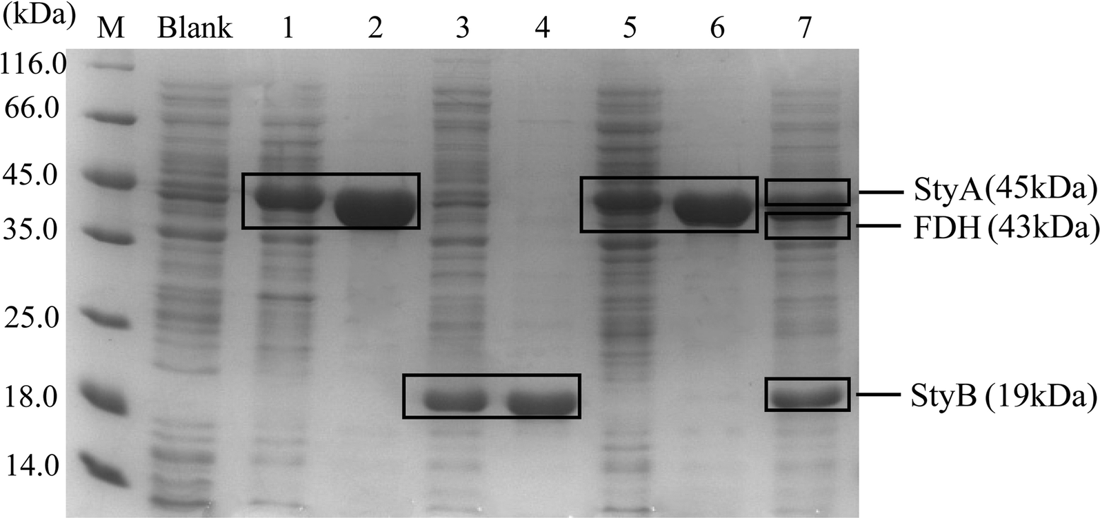 Fig. 5