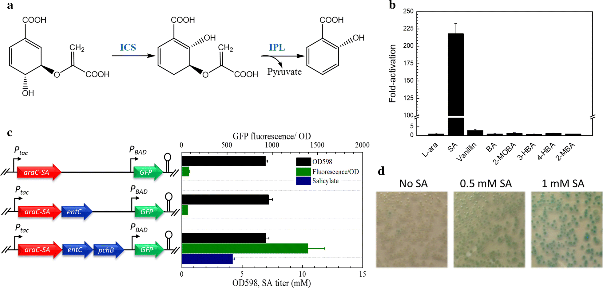 Fig. 2