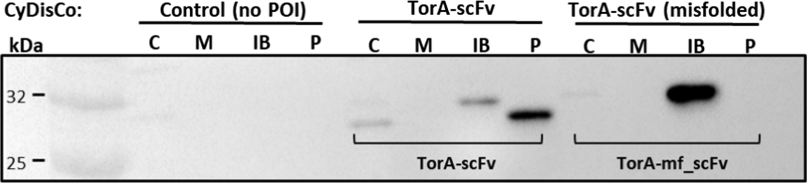 Fig. 3