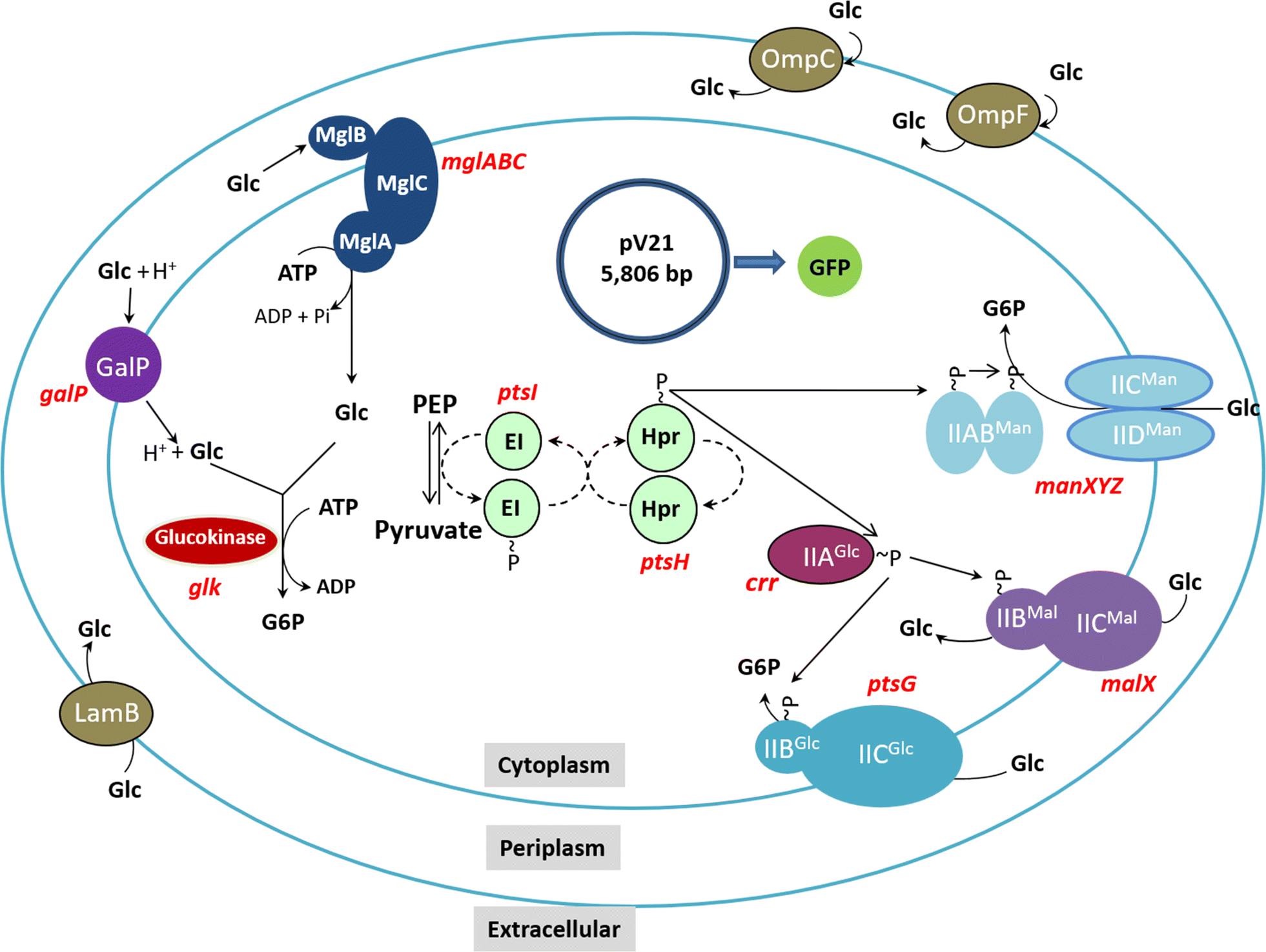 Fig. 2