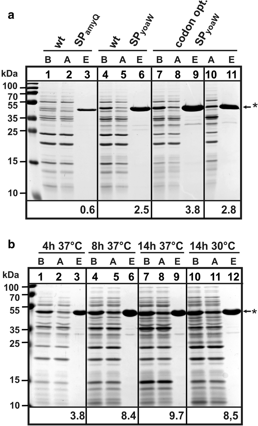 Fig. 3