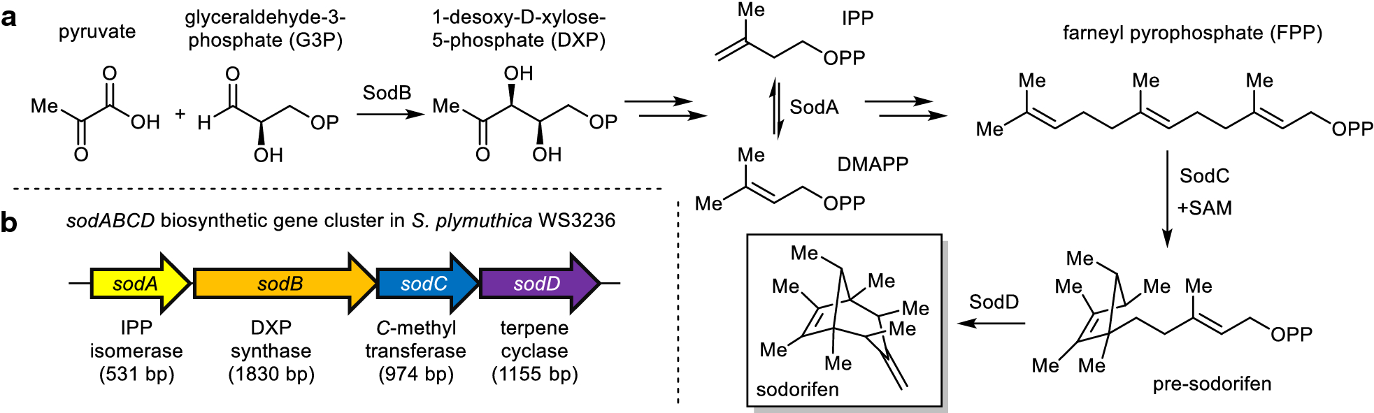 Fig. 1