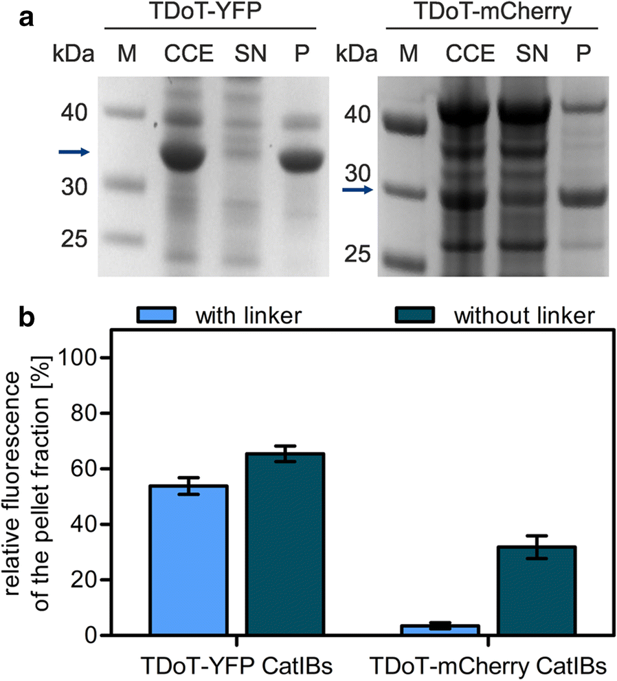 Fig. 2