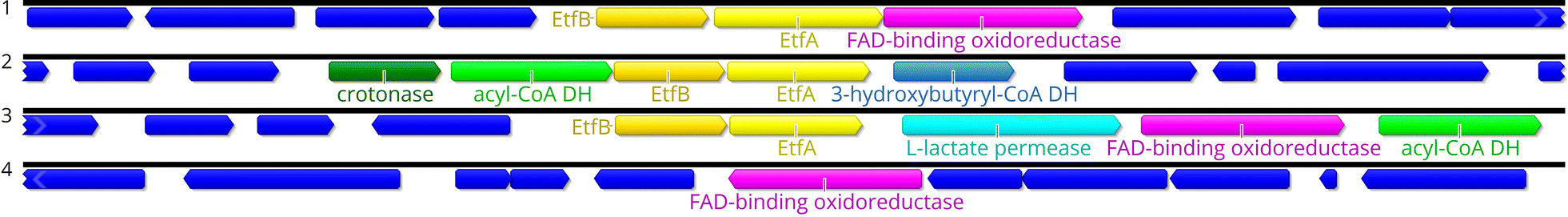 Fig. 2