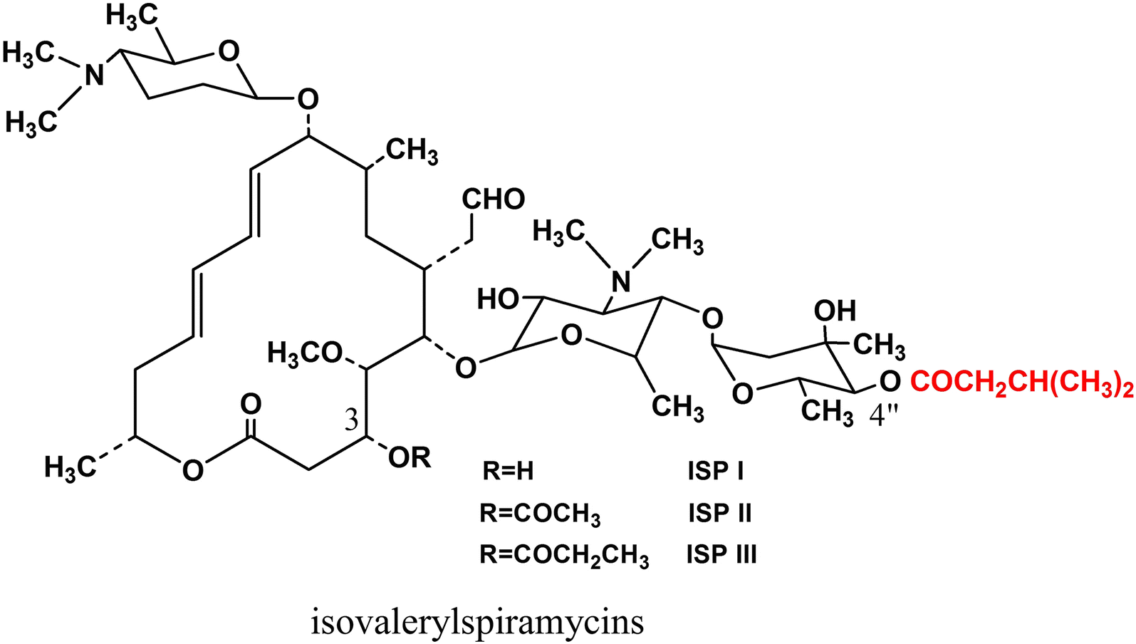 Engineering Of Leucine Responsive Regulatory Protein Improves Spiramycin And Bitespiramycin Biosynthesis Microbial Cell Factories Full Text